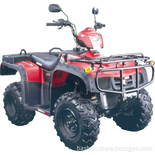BS250S-24 atv